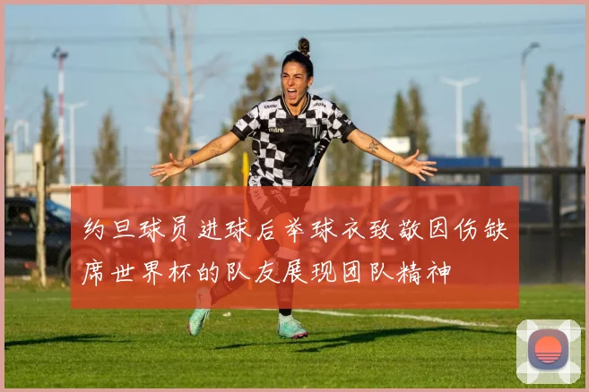 约旦球员进球后举球衣致敬因伤缺席世界杯的队友展现团队精神