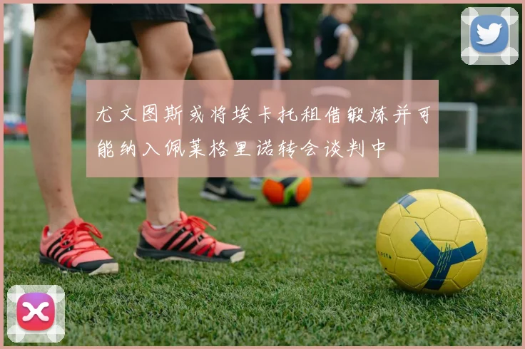 尤文图斯或将埃卡托租借锻炼并可能纳入佩莱格里诺转会谈判中