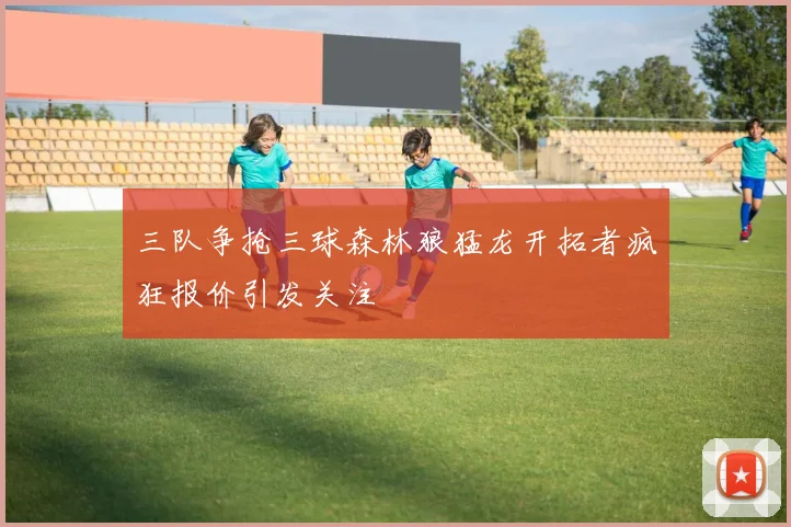 三队争抢三球森林狼猛龙开拓者疯狂报价引发关注